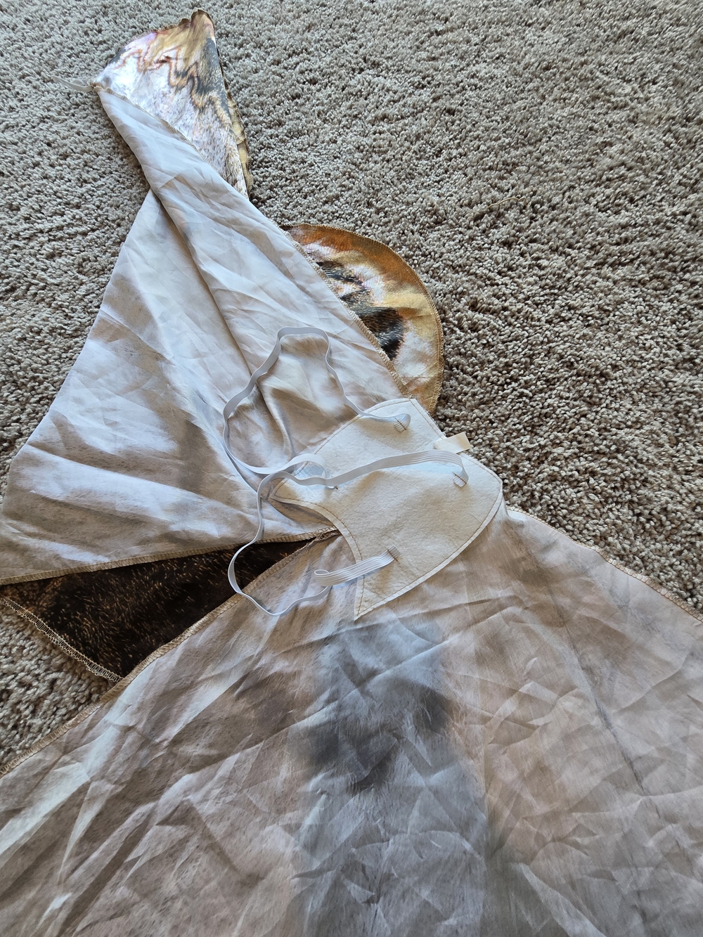 Moth Wings - Picture 2 of 2